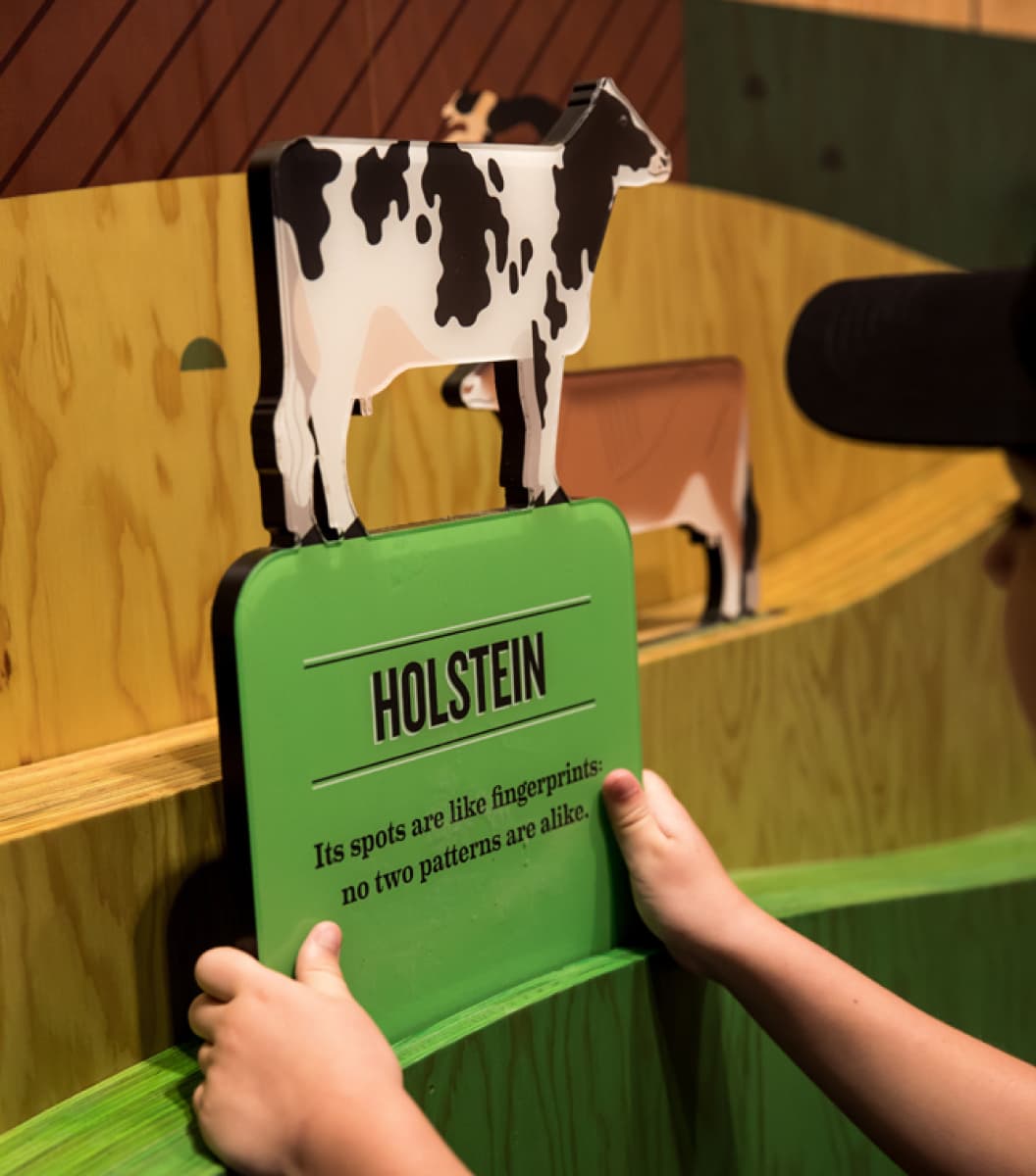 Closeup of Farm Exhibit display
