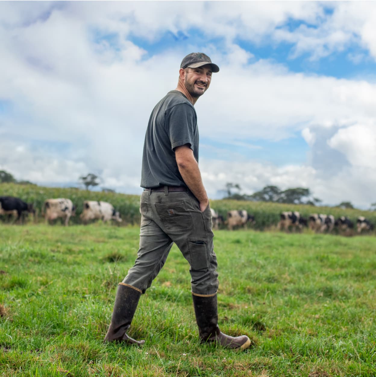 stewardship report 2024 image