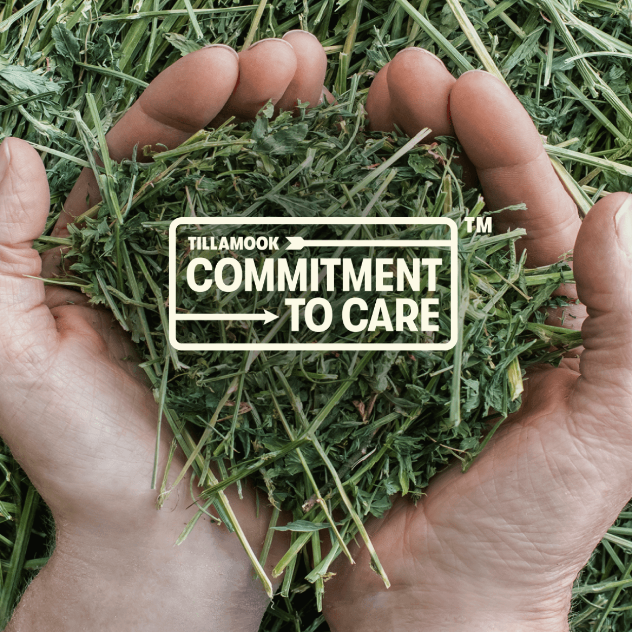 Caring for our farms and cows