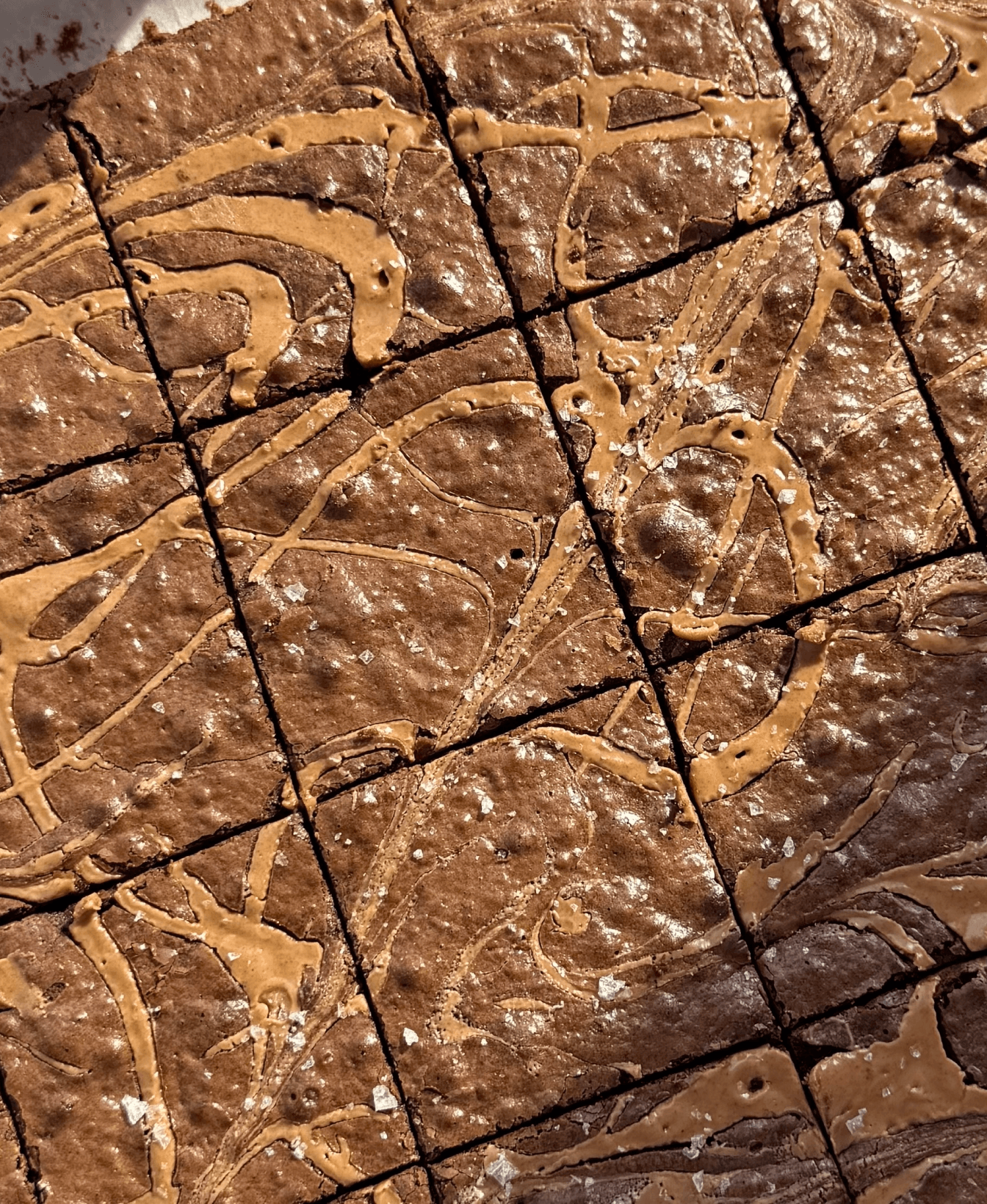 Peanut Butter Swirled Brownies hero image