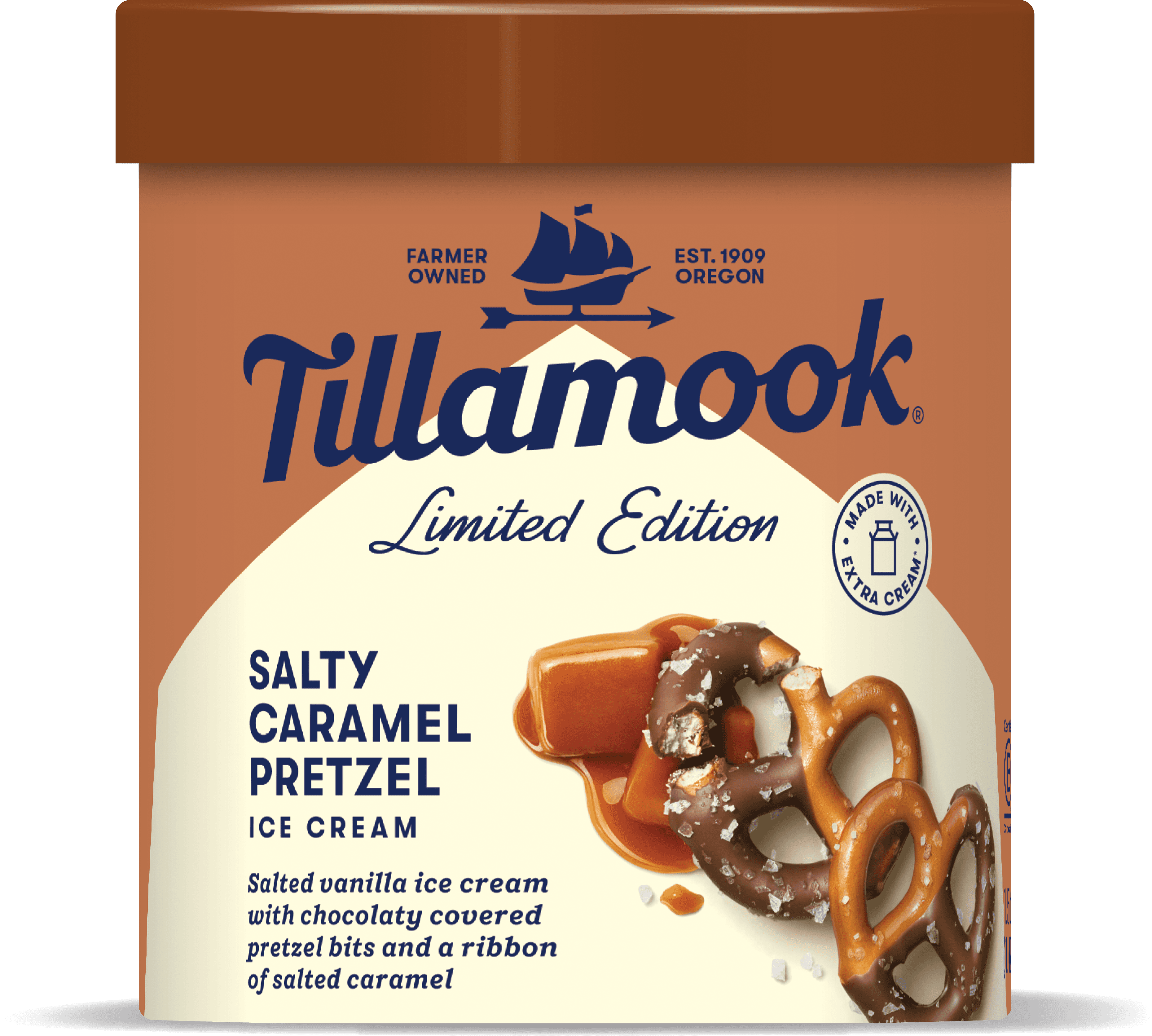 Salty Caramel Pretzel Family Size Ice Cream