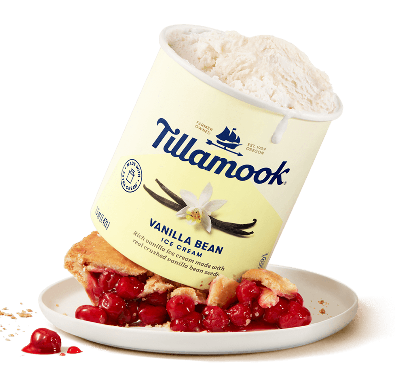 Vanilla Bean Ice cream