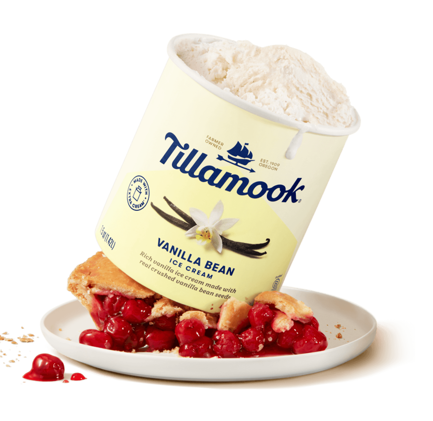 Vanilla Bean Ice cream