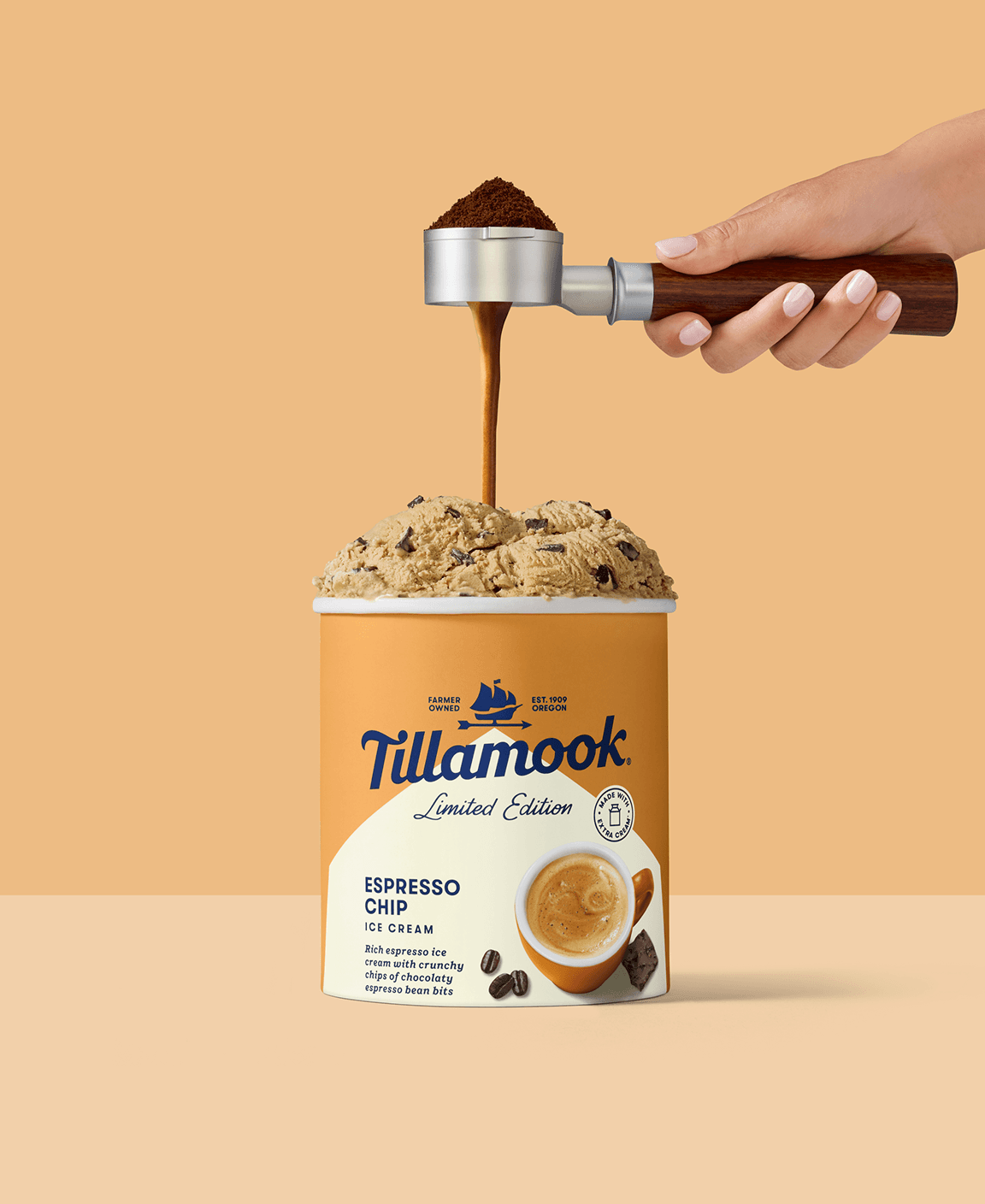 Tillamook Espresso chip
