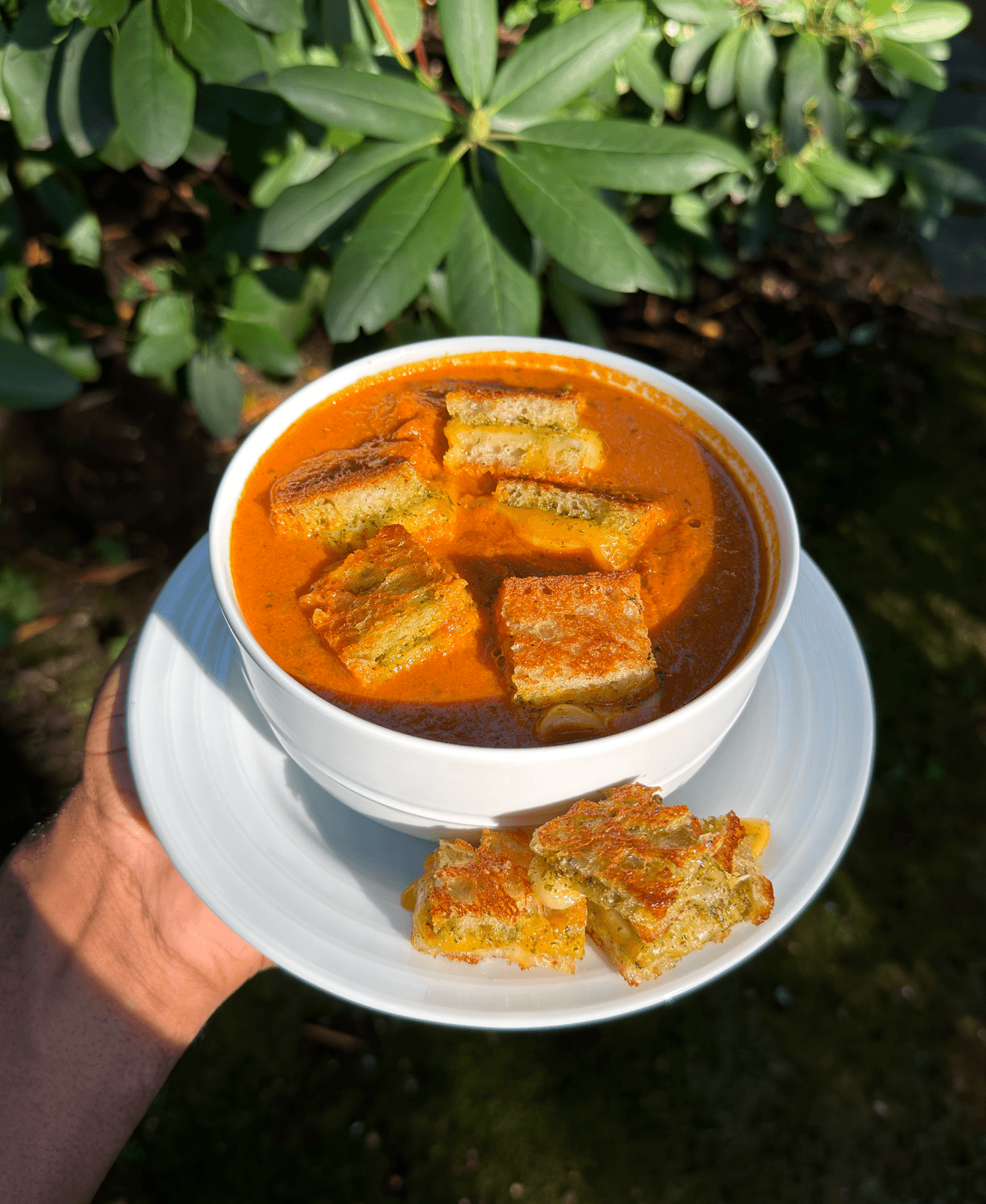 Pesto Grilled Cheese Bites with Tomato Soup