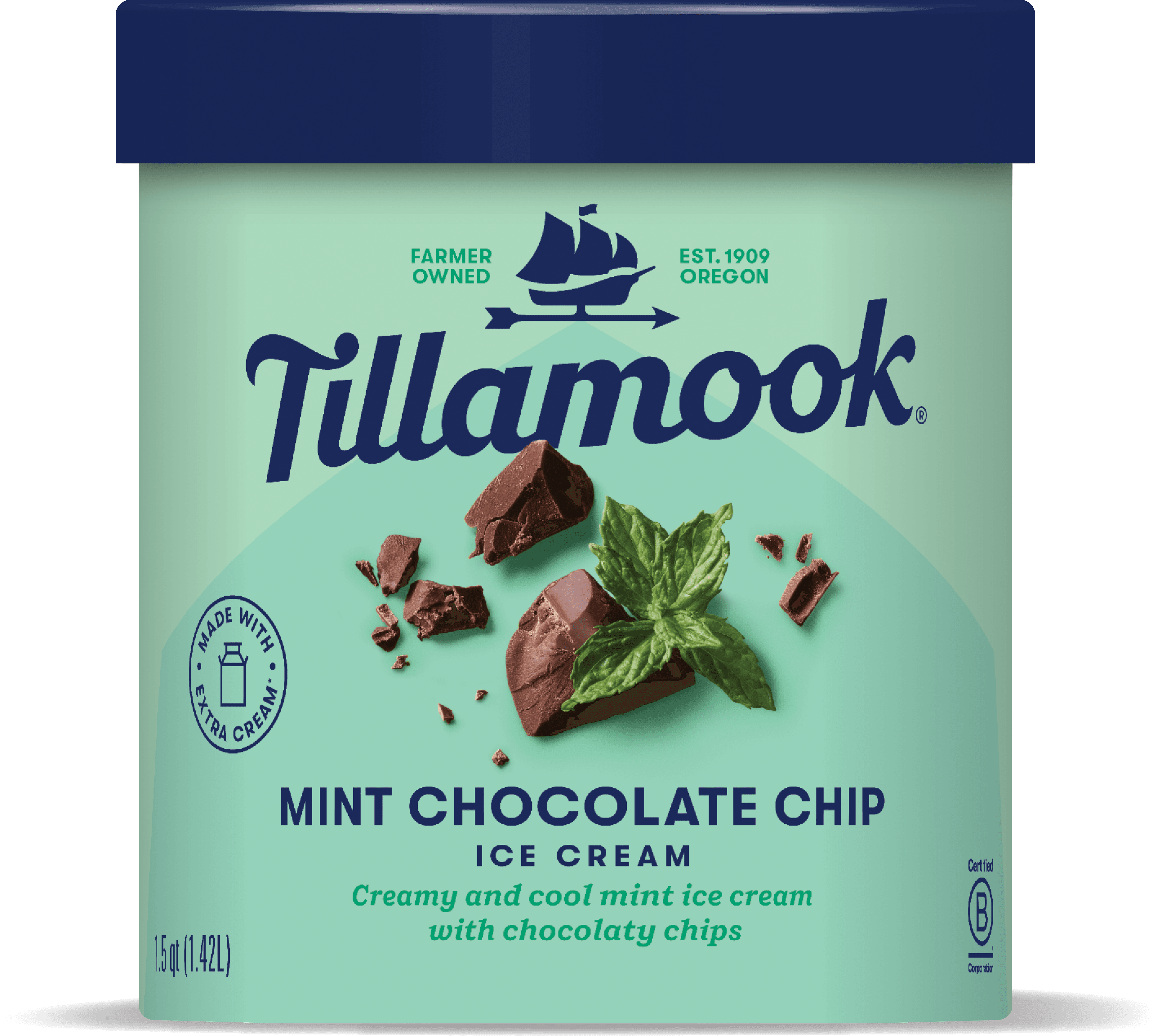 Mint Chocolate Chip Ice Cream