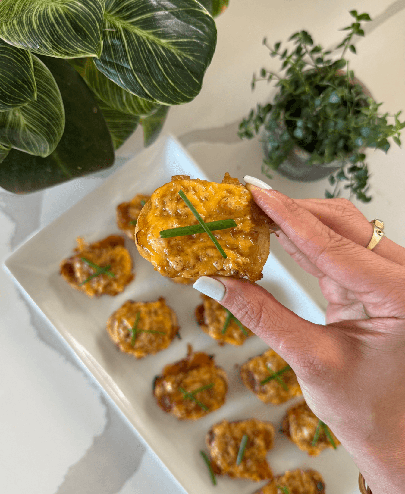 Caramelized Onion & Cheddar Crostini image slide 1