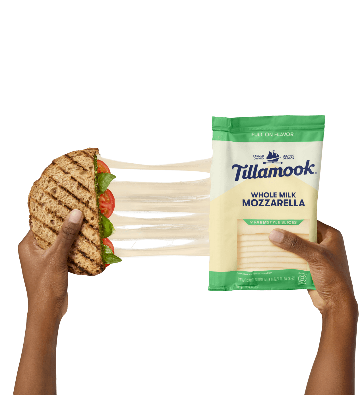 Tillamook Whole Milk Mozzarella