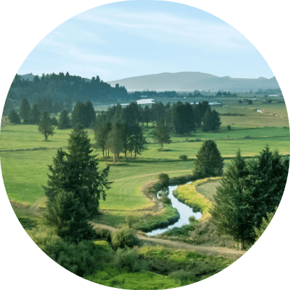 Landscape image